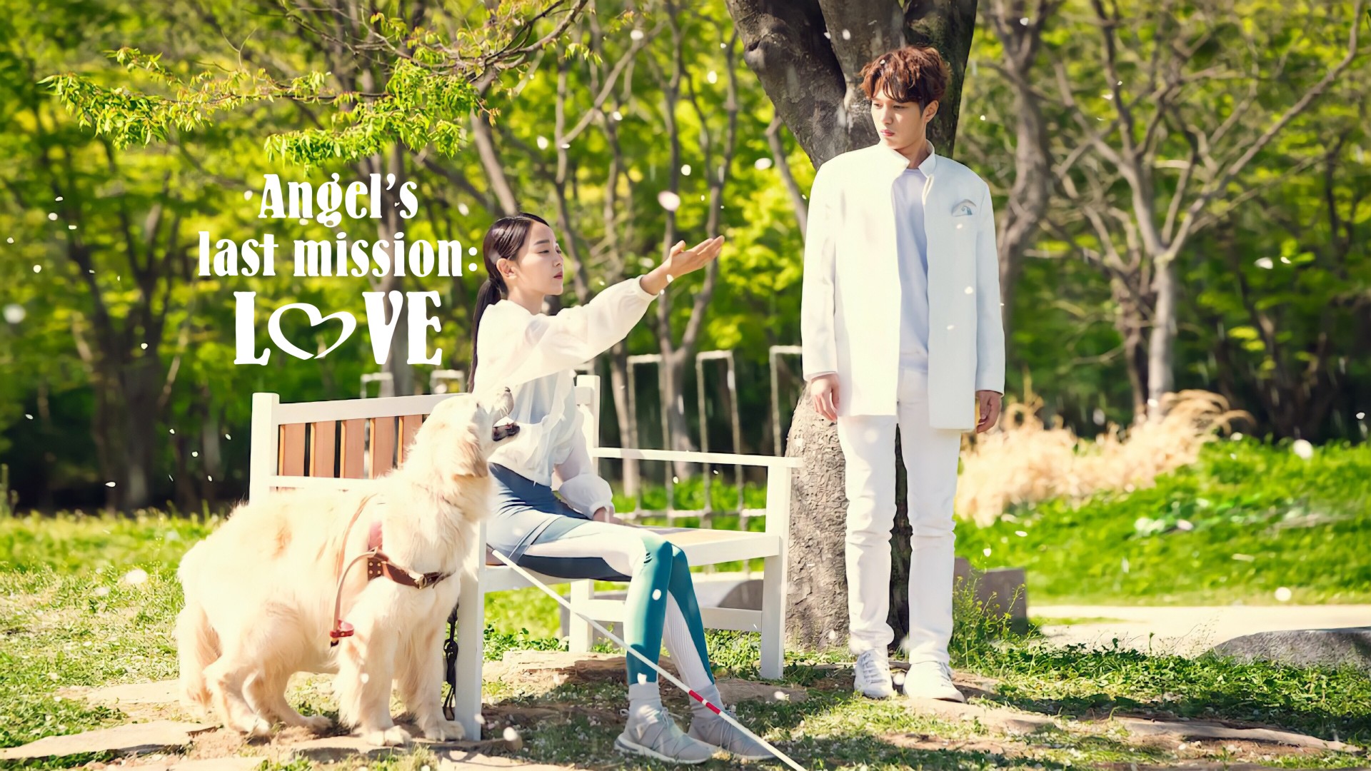 Angel’s Last Mission: Love 1. Sezon 14. Bölüm