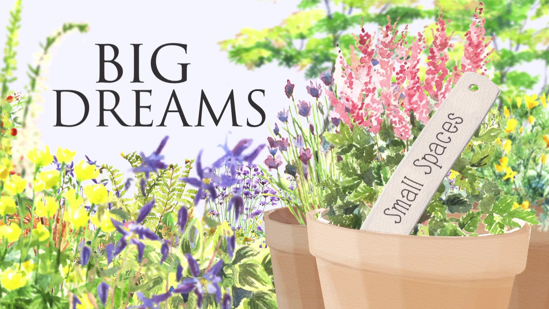 BIG DREAMS Small Spaces 3. Sezon 6. Bölüm