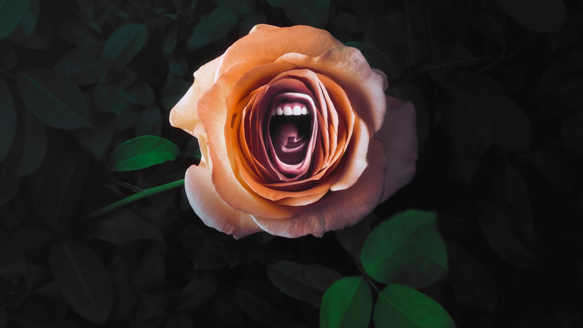 Roar 1. Sezon 8. Bölüm