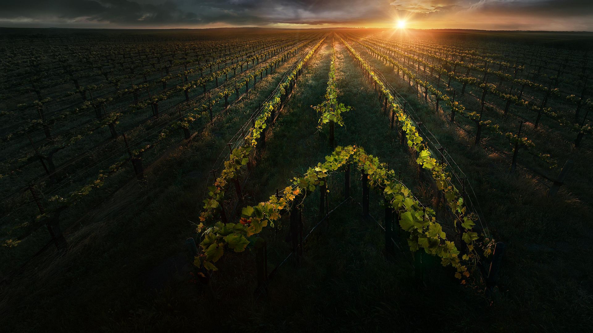 Star Trek: Picard 2. Sezon 4. Bölüm