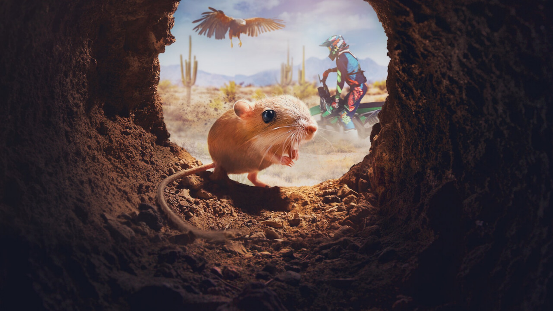 Tiny Creatures 1. Sezon 7. Bölüm