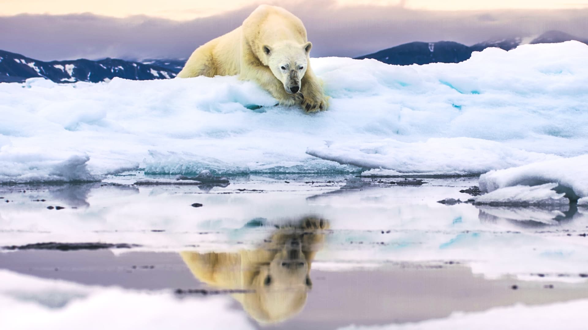Frozen Planet II 1. Sezon 2. Bölüm